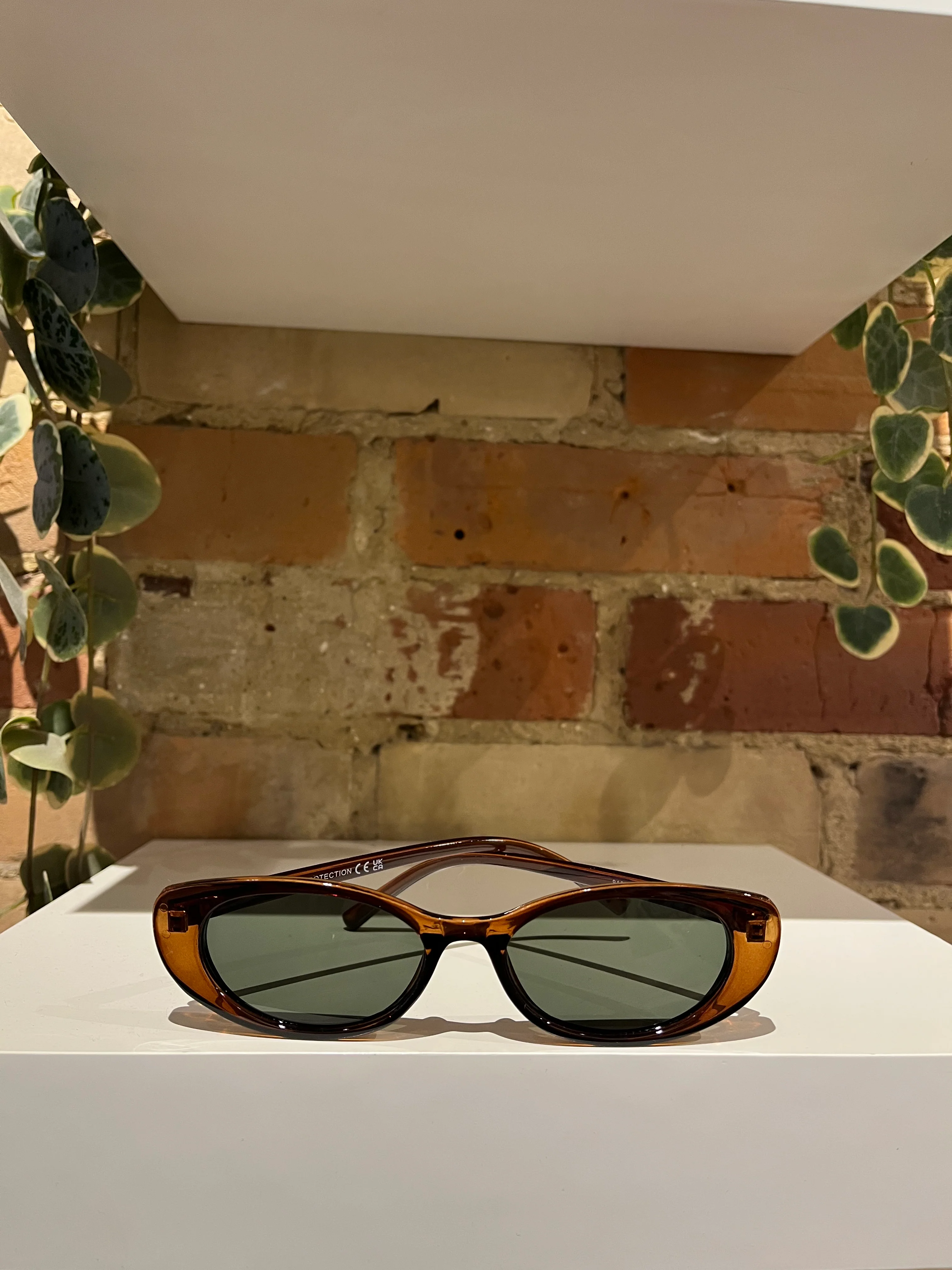 81075 sunglasses in brown