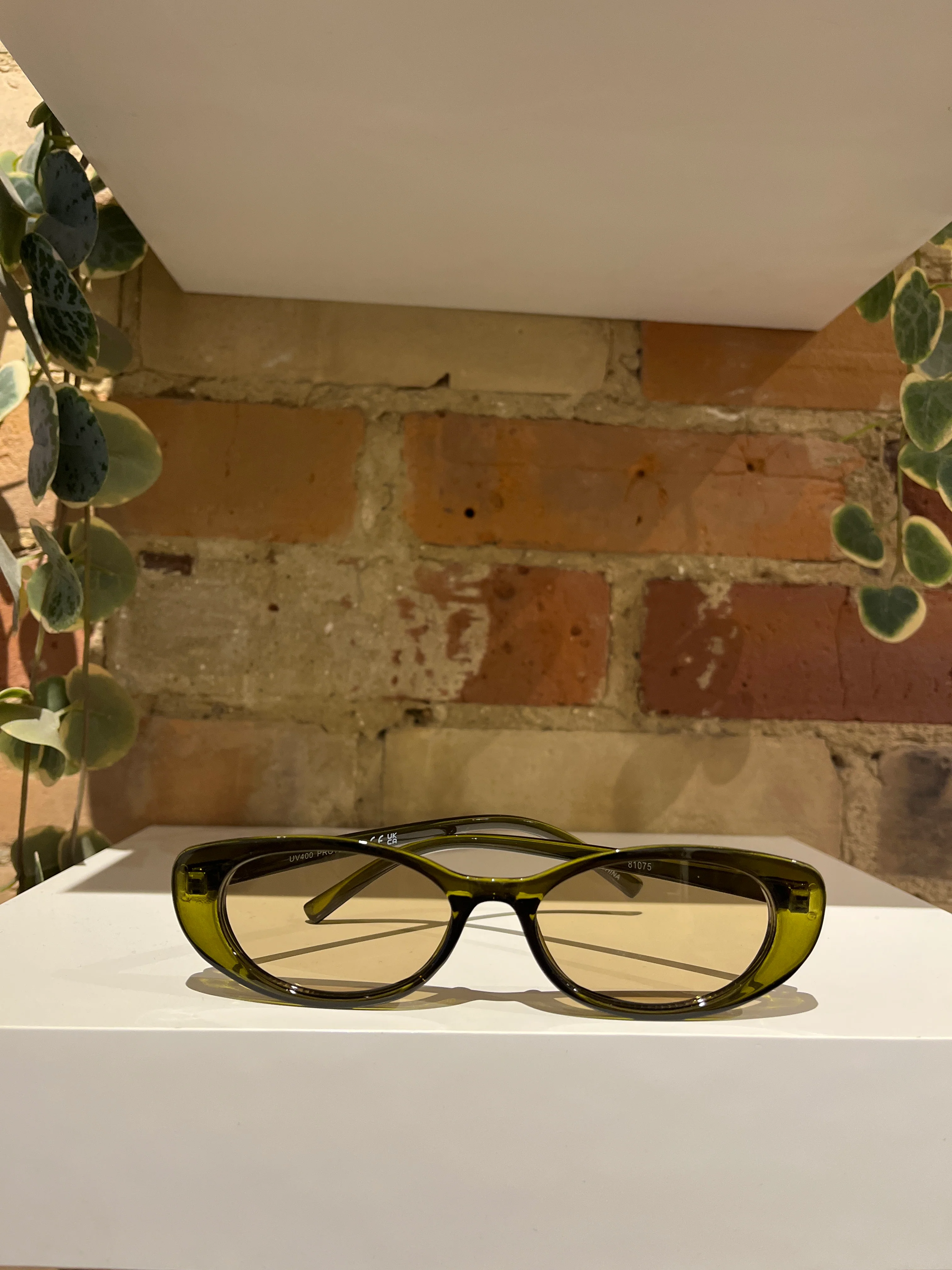 81075 sunglasses in olive green
