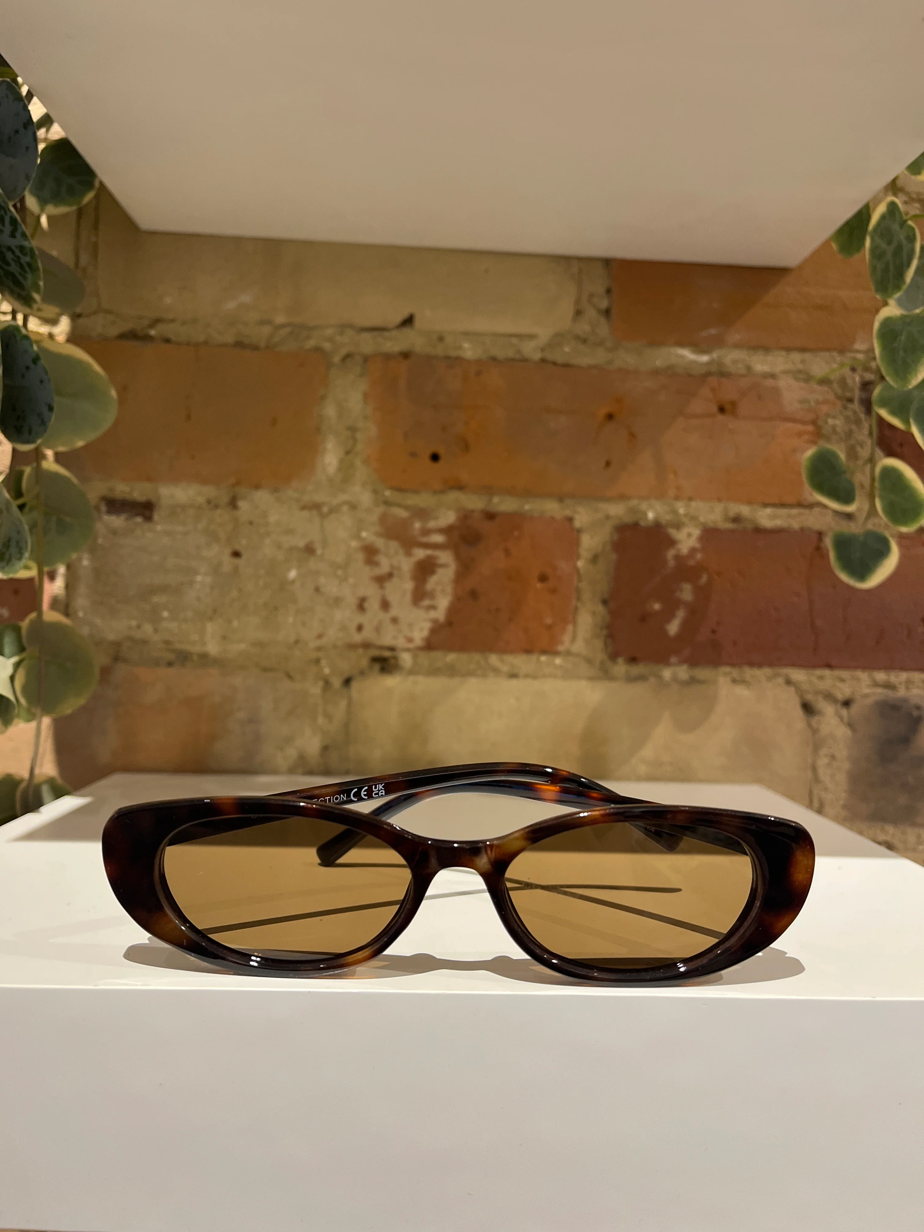 81075 sunglasses in tortoise