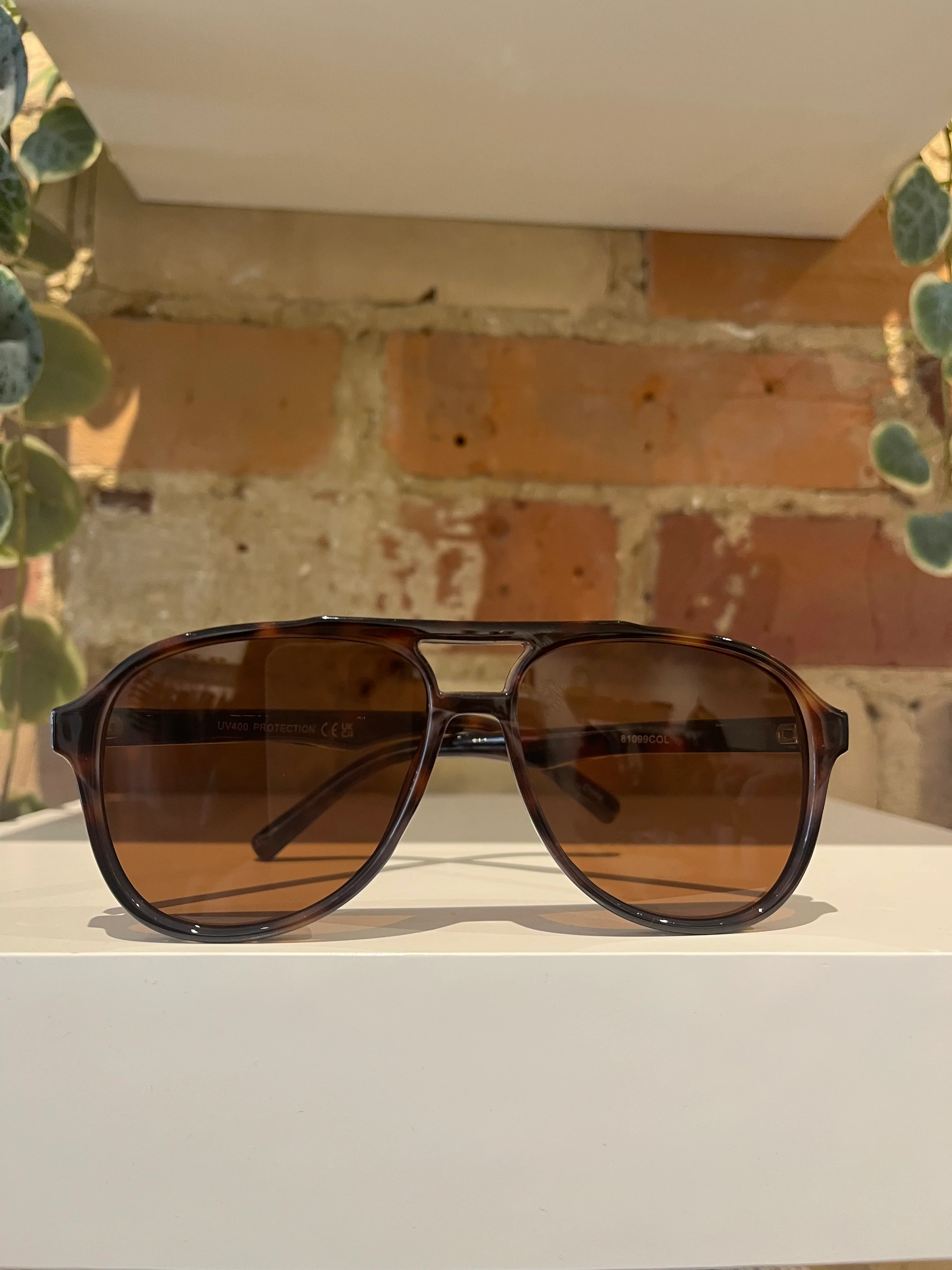 Aviator in Tortoise