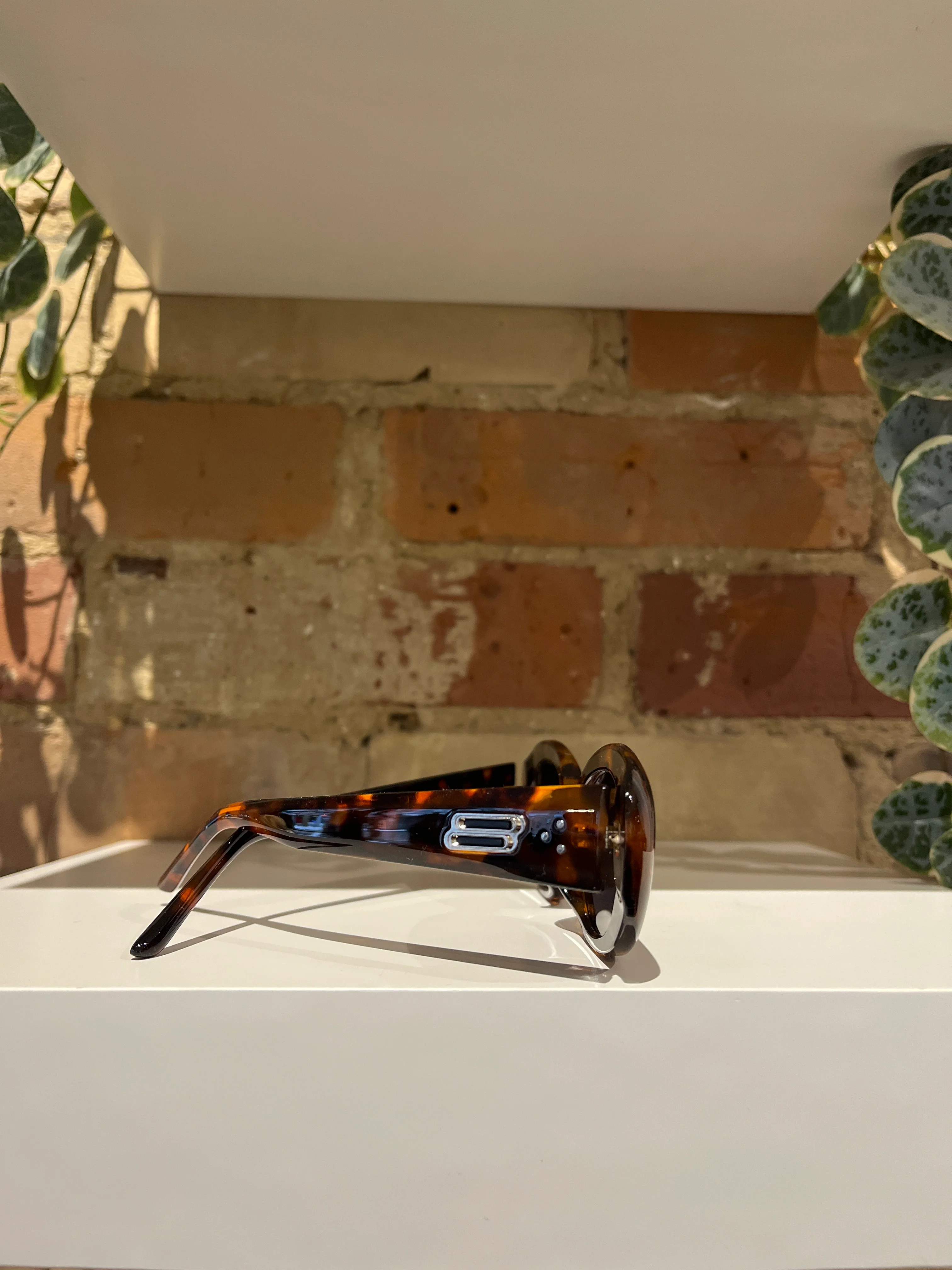 Melrose Sunglasses in Tortoise - Image 2