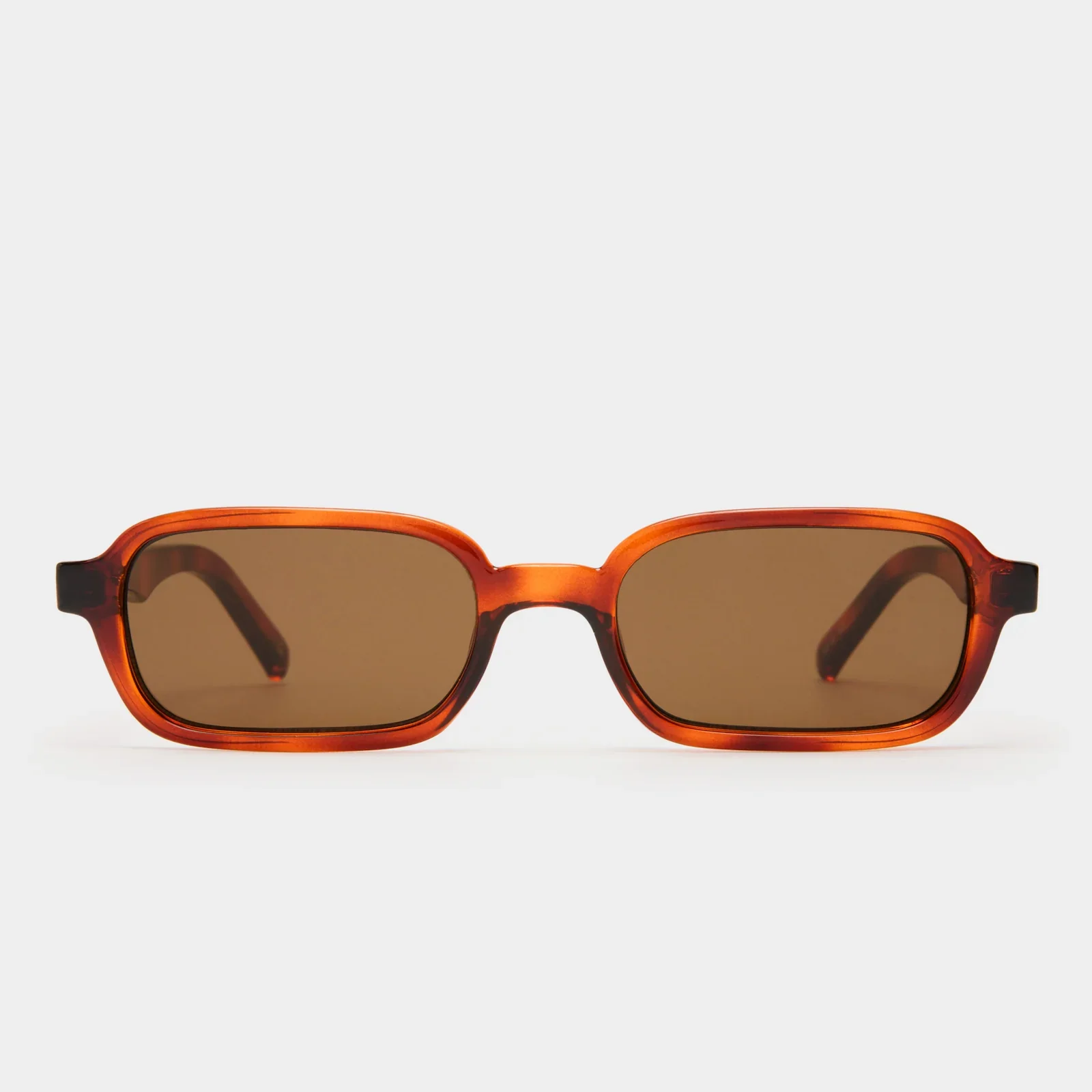 PILFERER IN TOFFEE TORTOISE