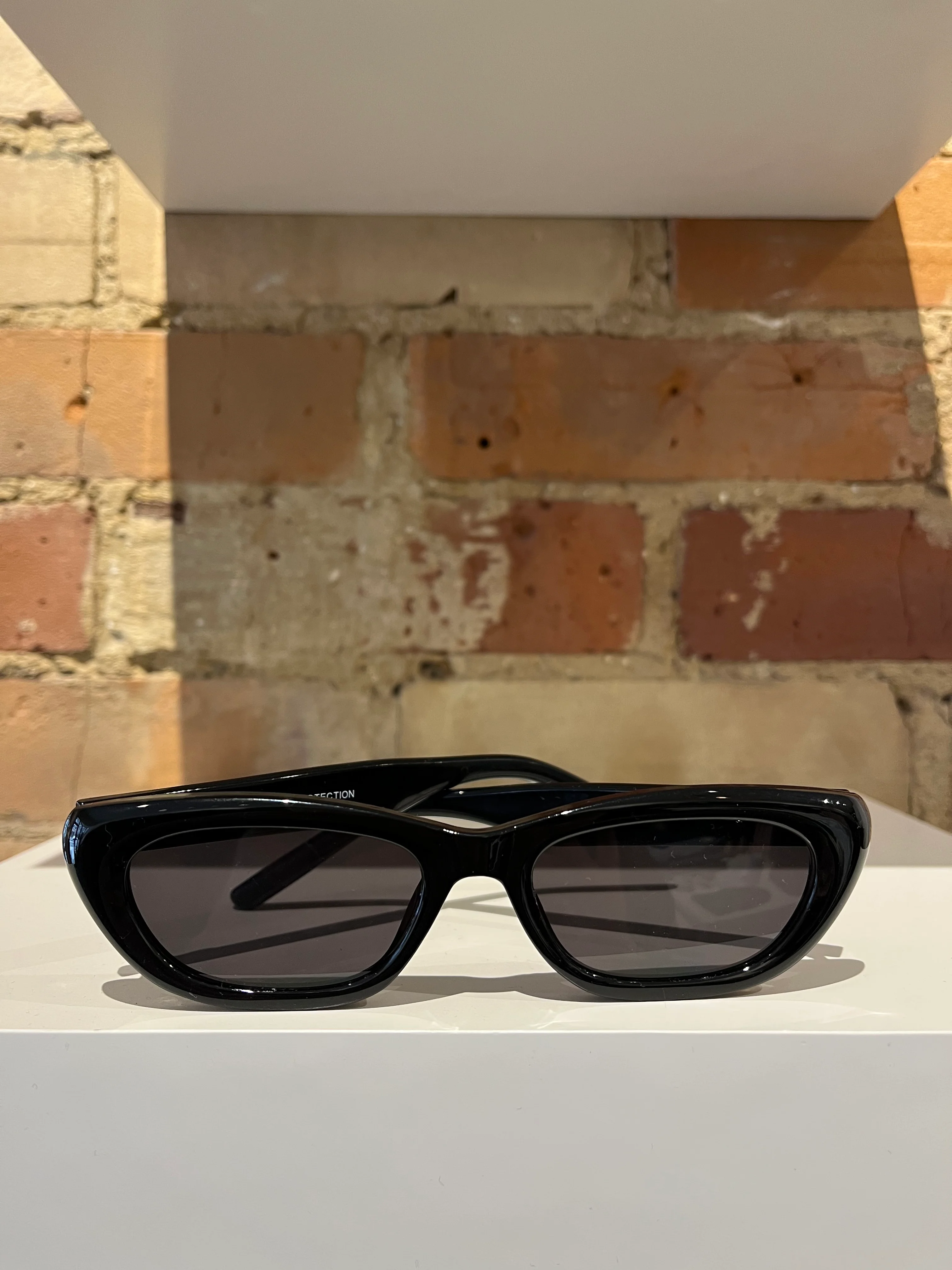 Swiftly in Black Sunglasses